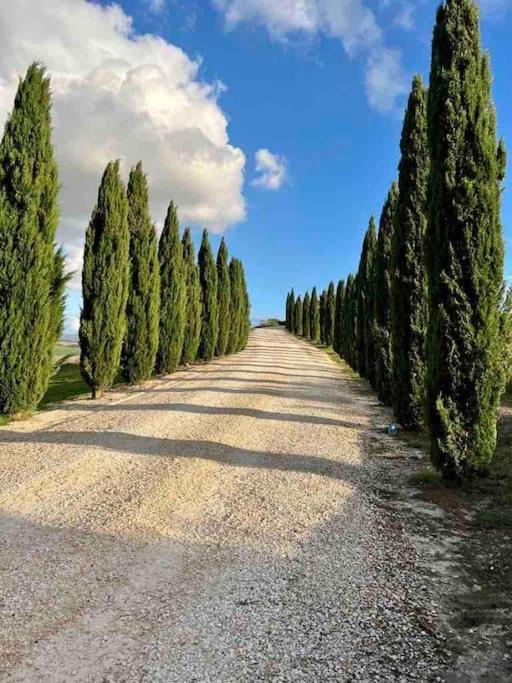 Toscana Amore Mio, Stunning View & 14Min Volterra Montecatini Val di Cecina Exterior foto